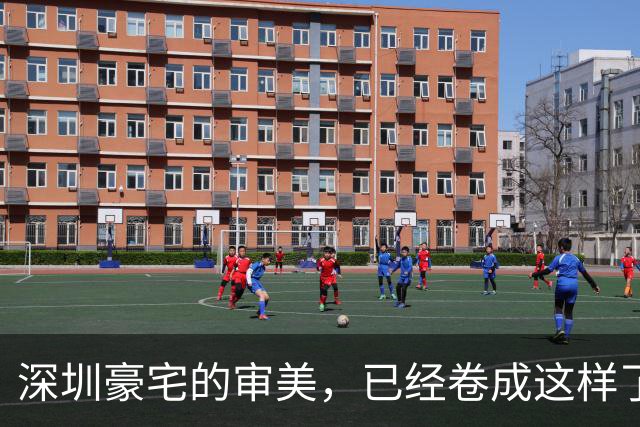 深圳豪宅的审美，已经卷成这样了？